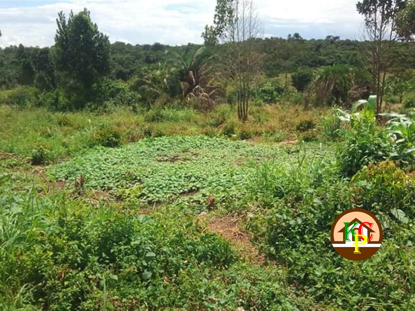 Residential Land for sale in Katosi Mukono