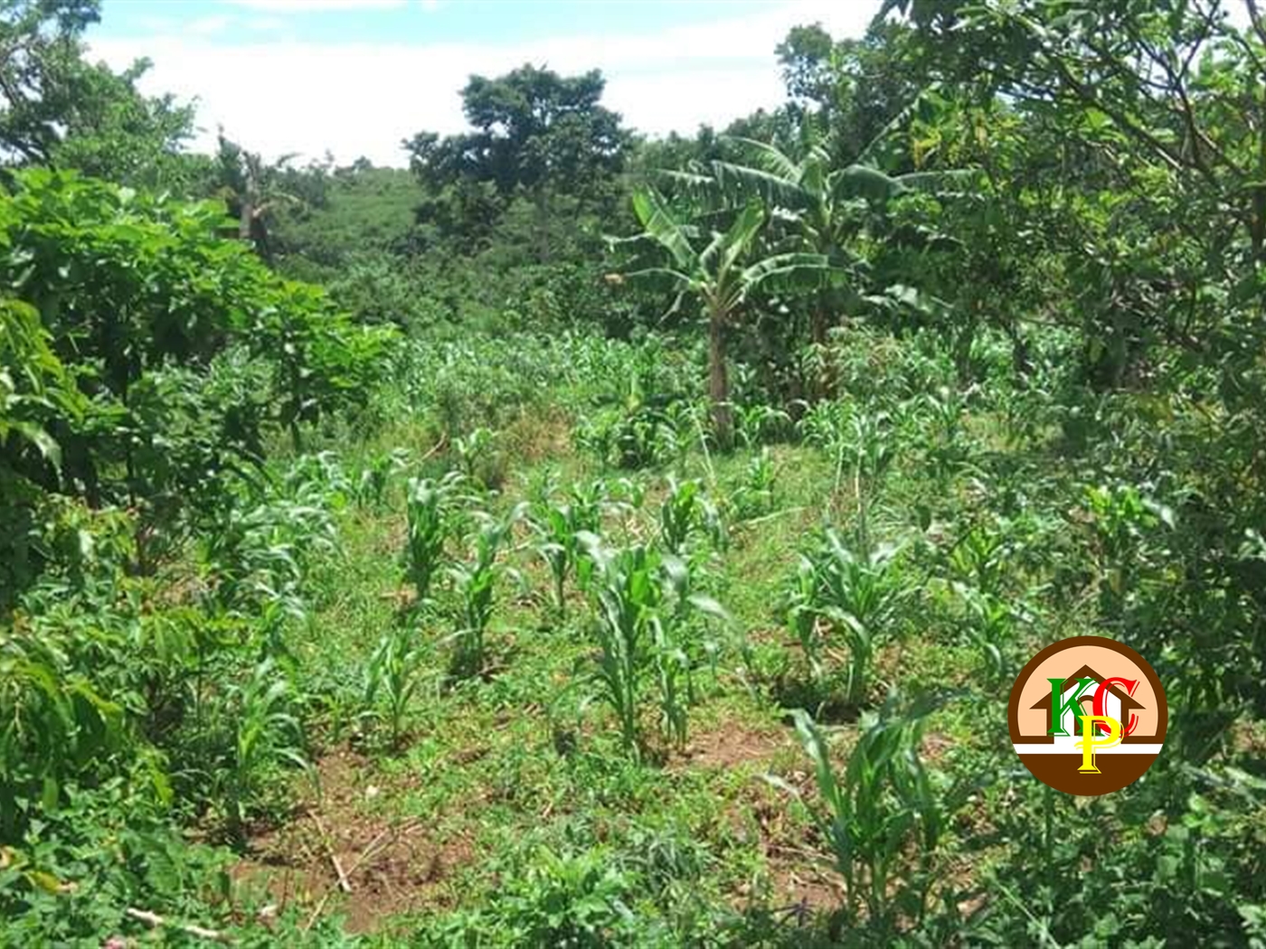 Residential Land for sale in Katosi Mukono