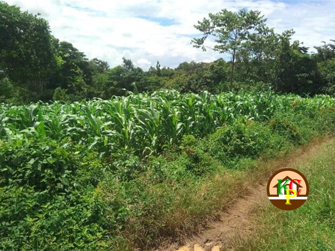 Residential Land for sale in Katosi Mukono