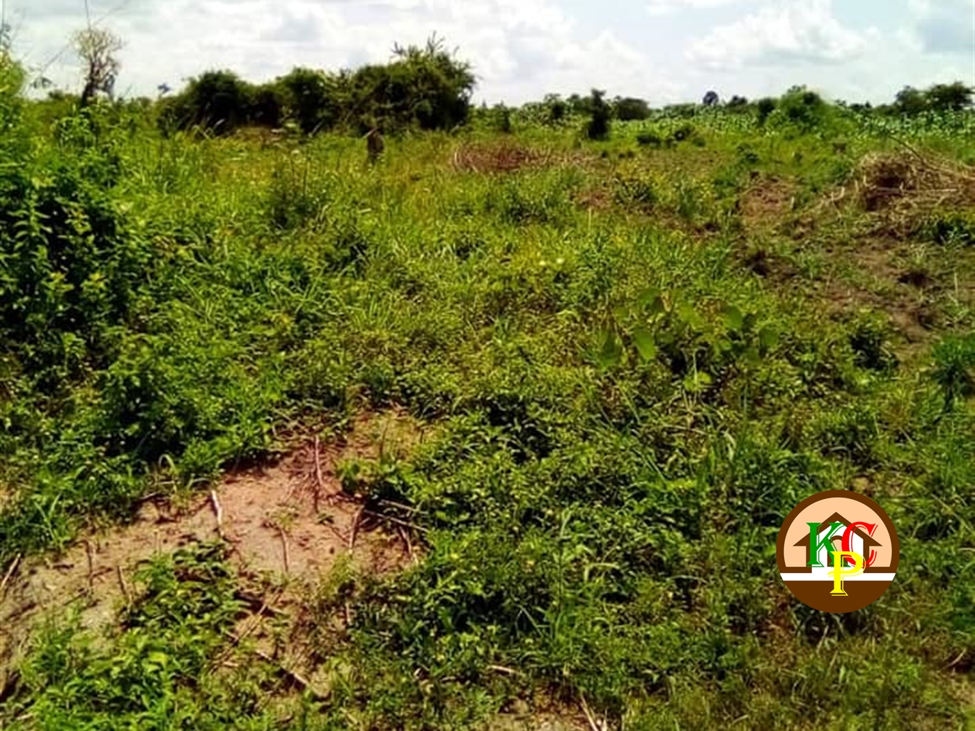 Agricultural Land for sale in Bwabulamira Kayunga