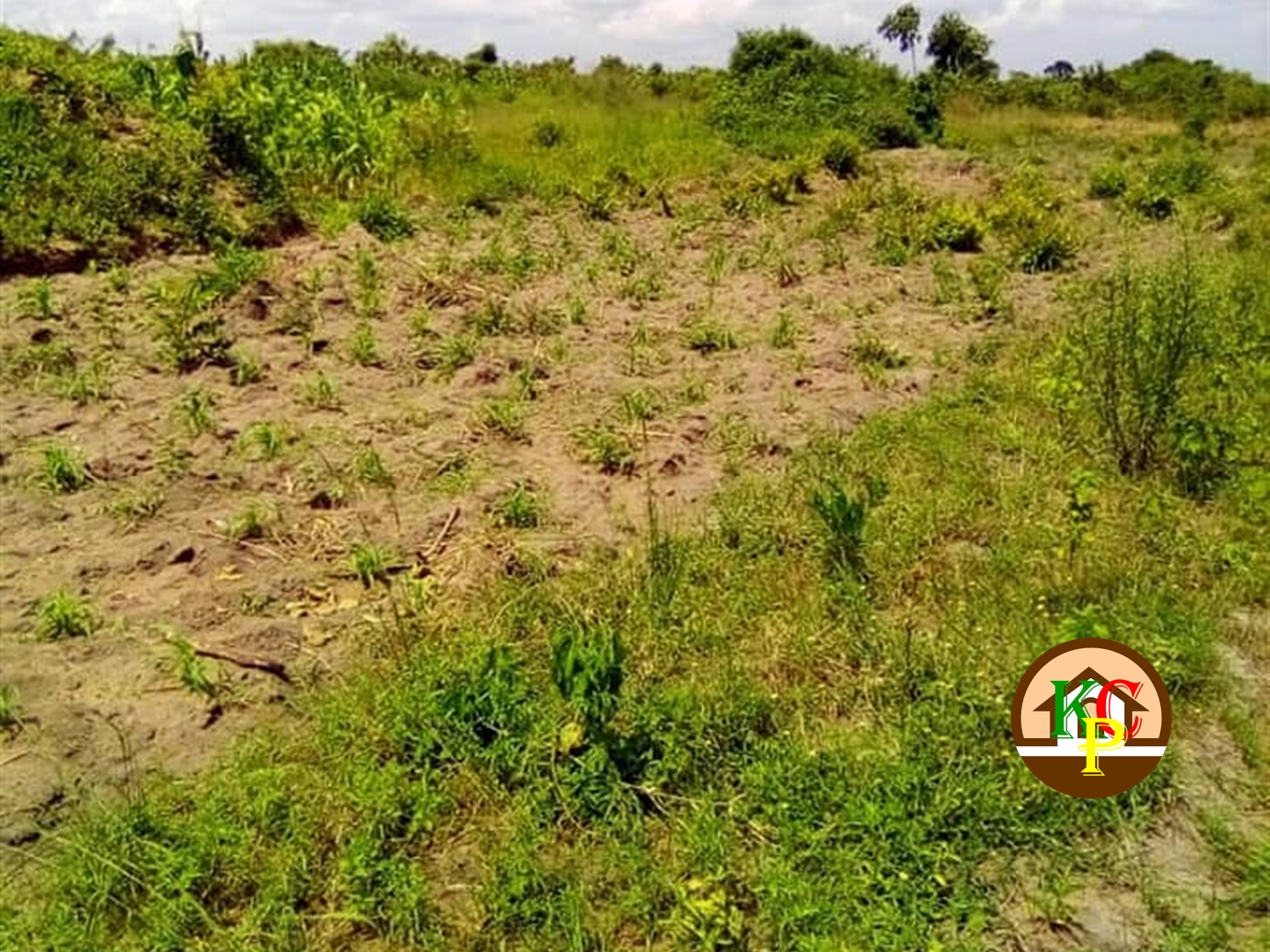 Agricultural Land for sale in Bwabulamira Kayunga