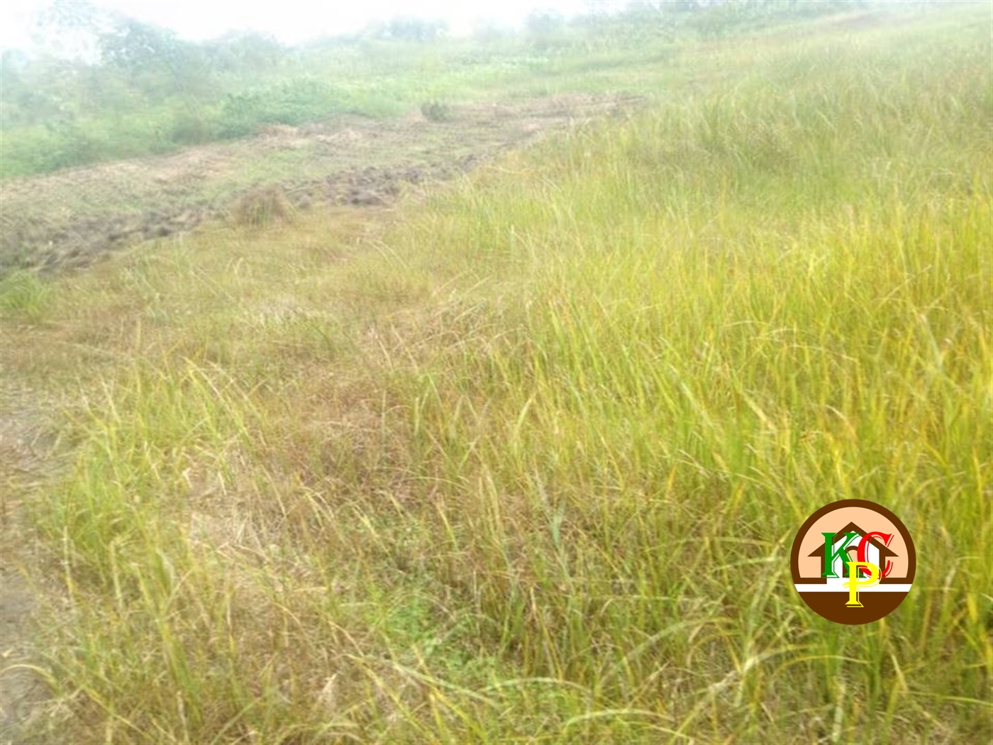 Residential Land for sale in Maya Wakiso