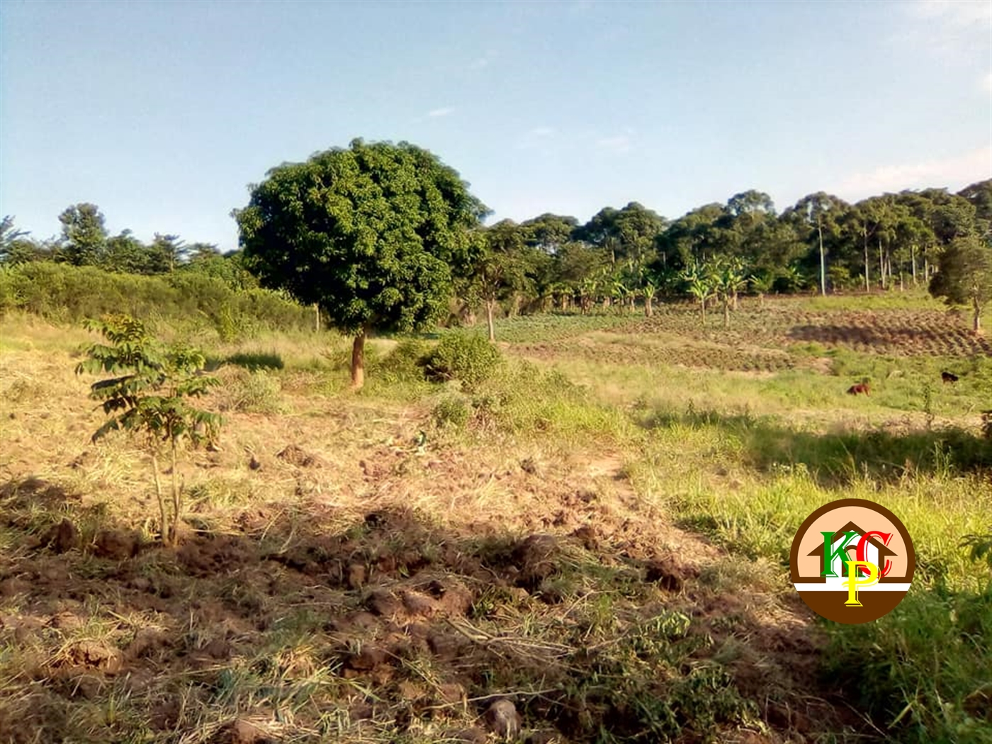 Residential Land for sale in Gayaza Wakiso