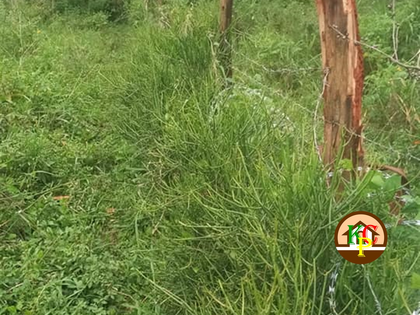 Residential Land for sale in Busiika Luweero