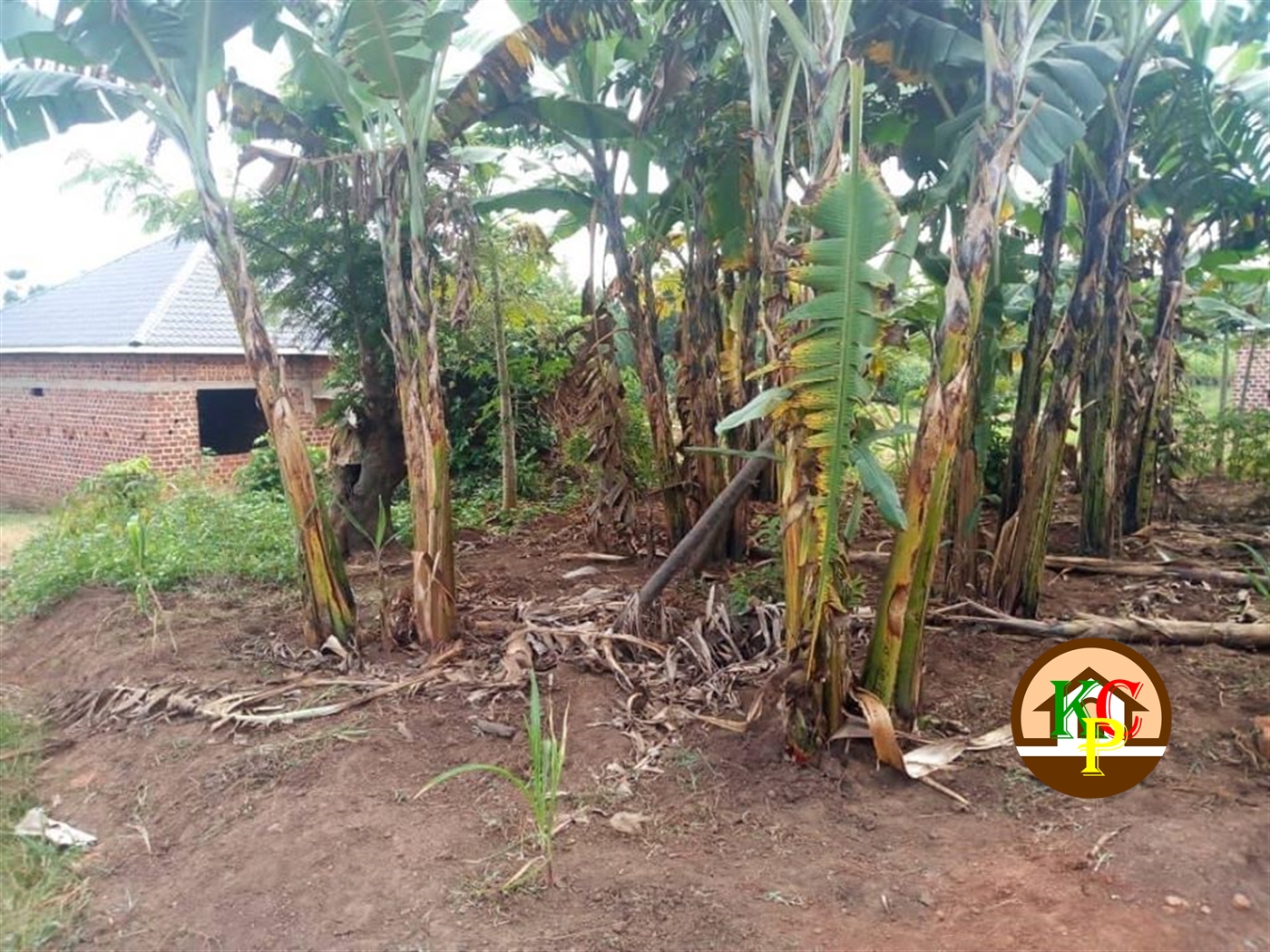 Residential Land for sale in Kiyunga Mukono