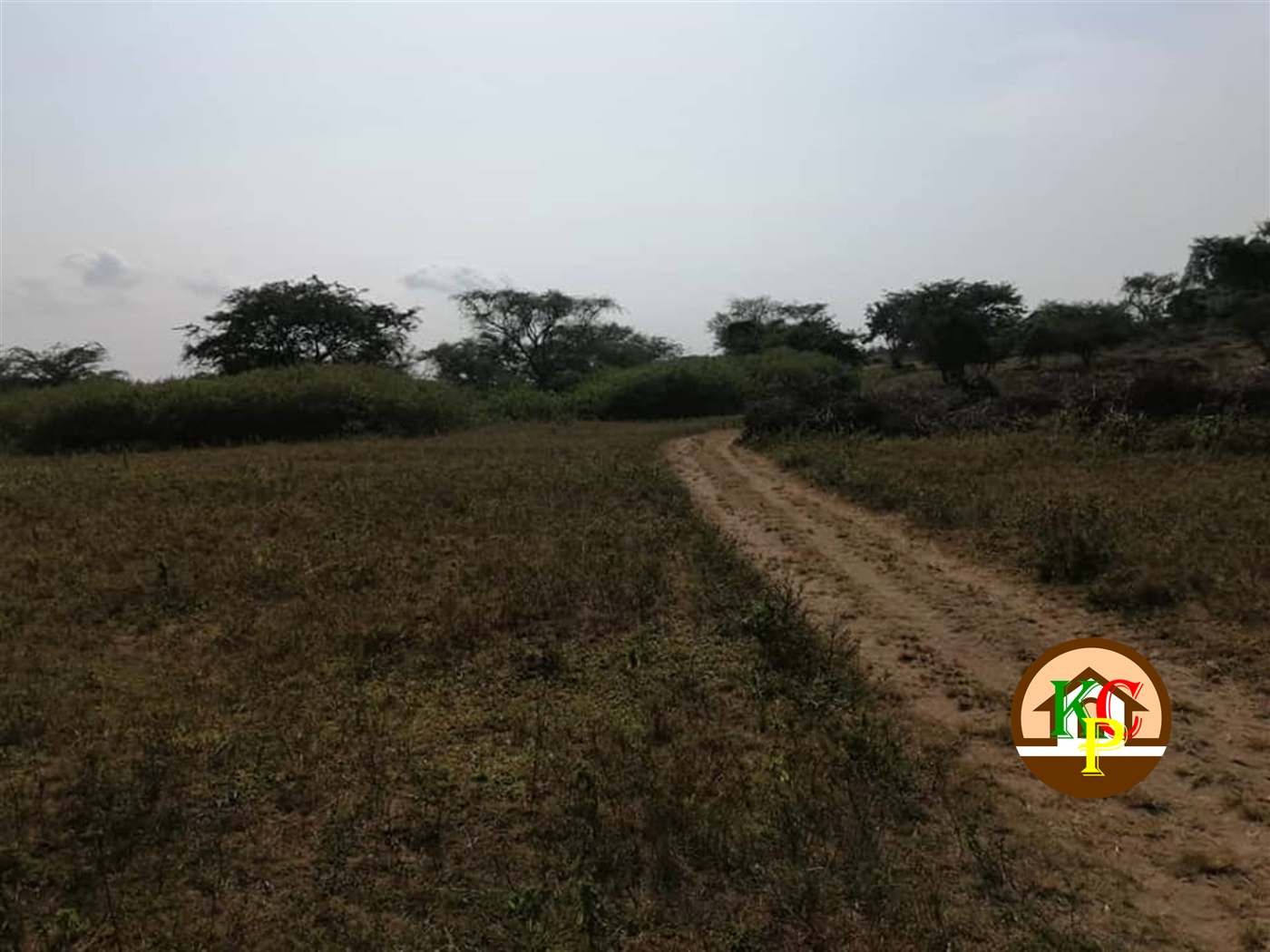 Agricultural Land for sale in Kayabwe Masaka
