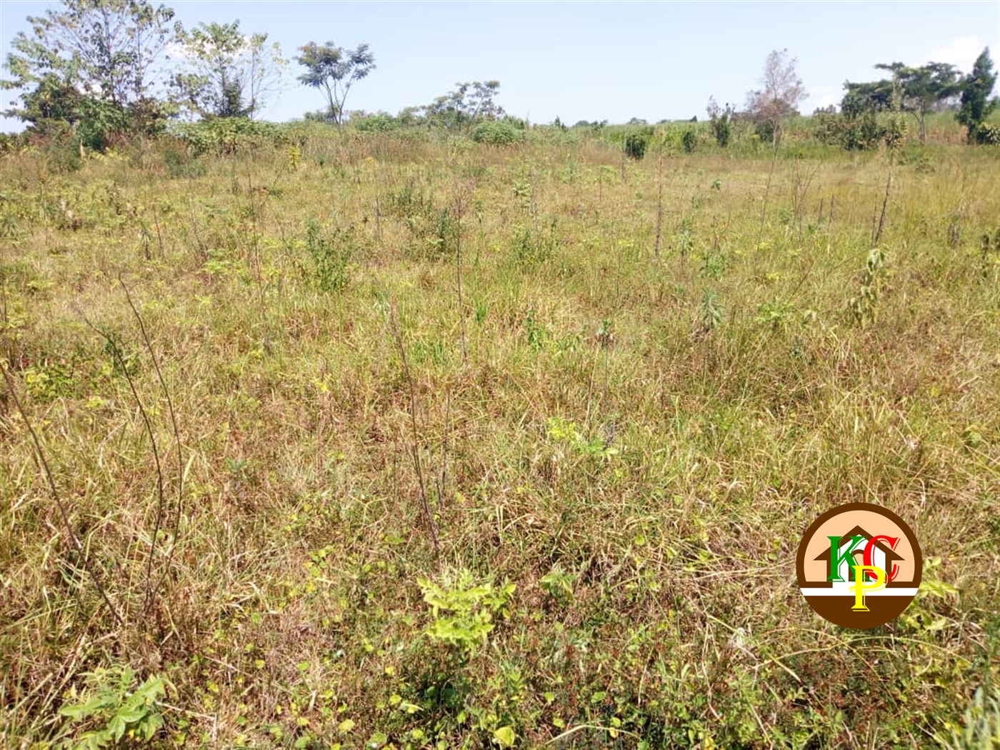 Residential Land for sale in Katongo Mukono