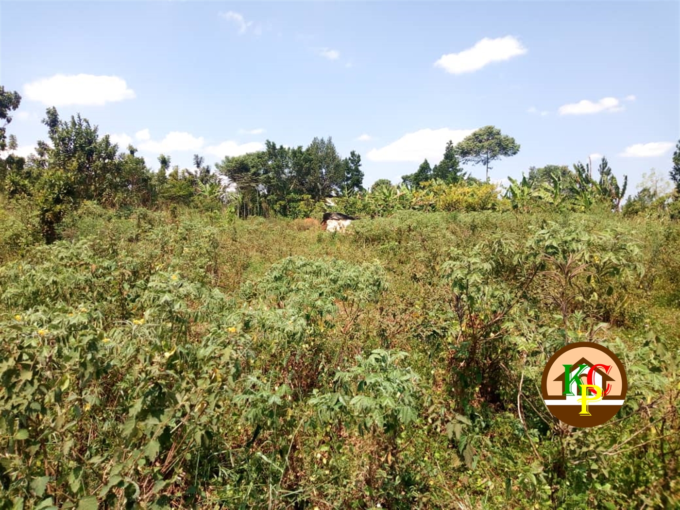 Residential Land for sale in Katongo Mukono