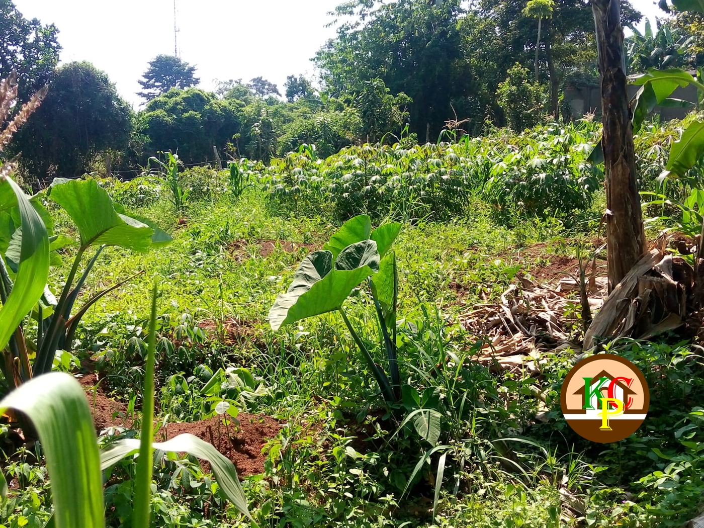 Residential Land for sale in Seeta Mukono