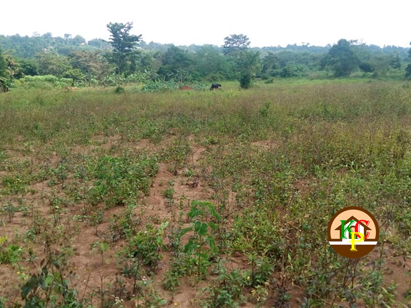 Residential Land for sale in Kabembe Mukono