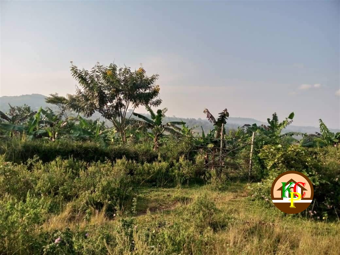 Agricultural Land for sale in Bbaale Kayunga