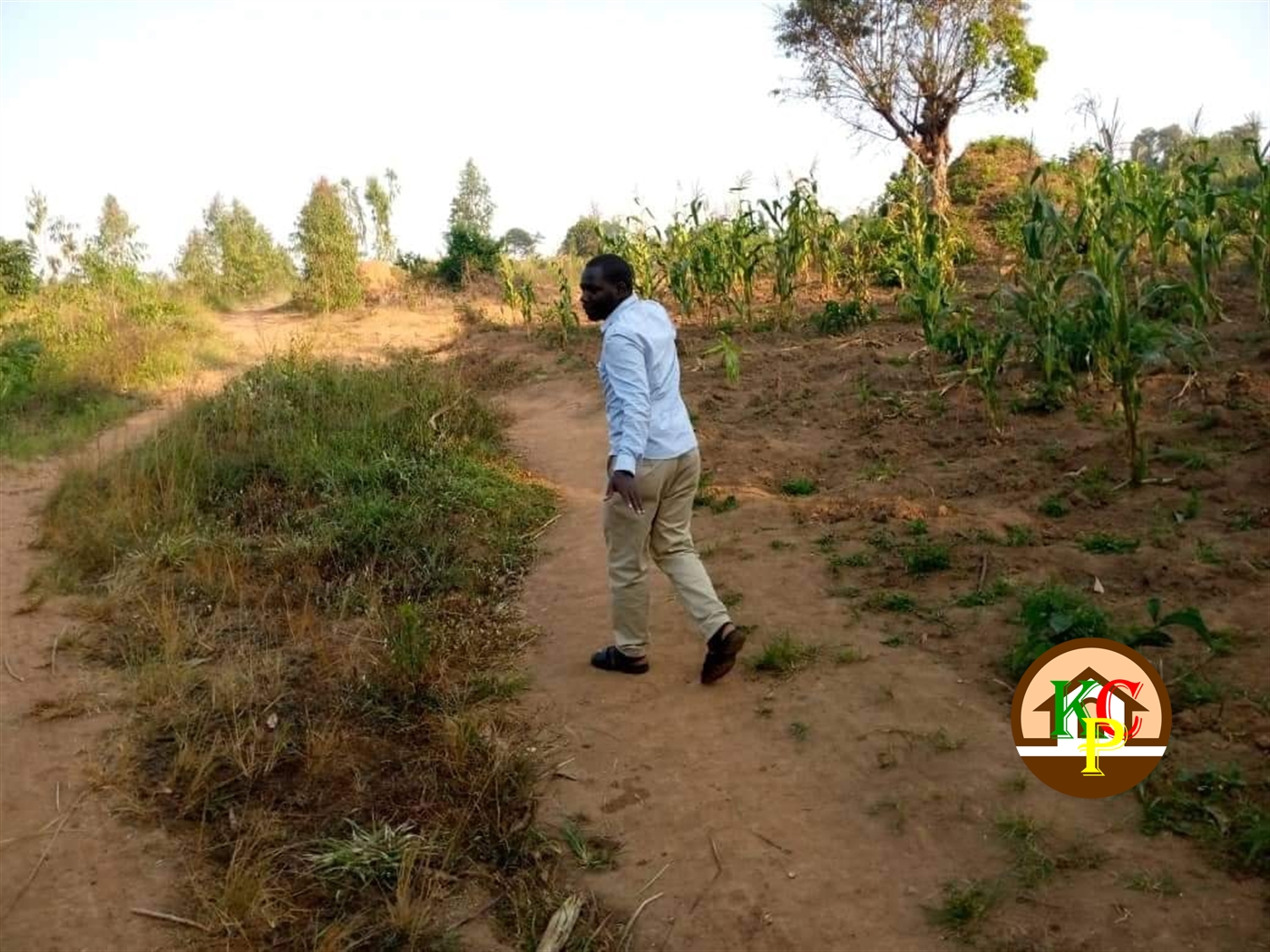 Agricultural Land for sale in Bbaale Kayunga