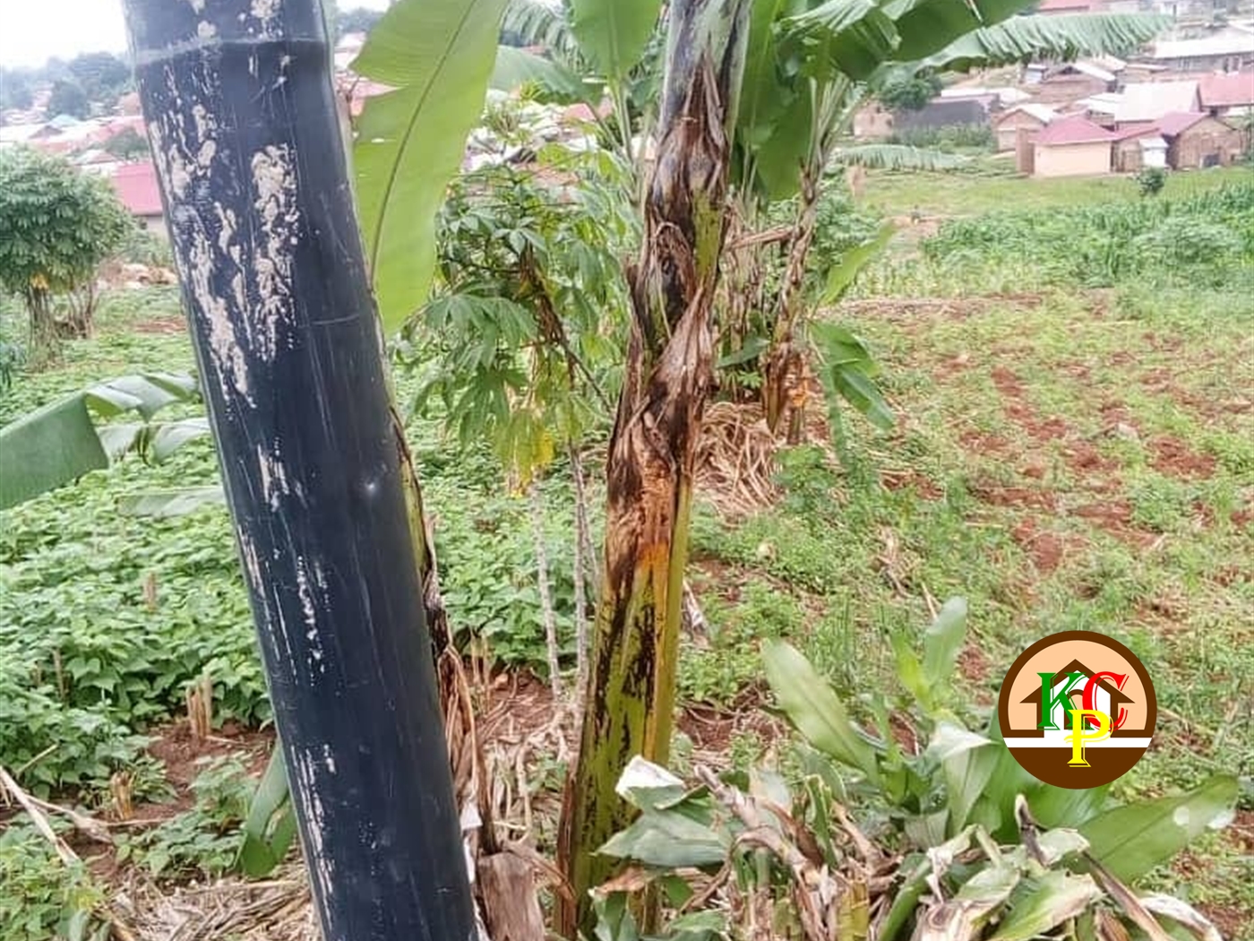 Residential Land for sale in Bweyogerere Wakiso