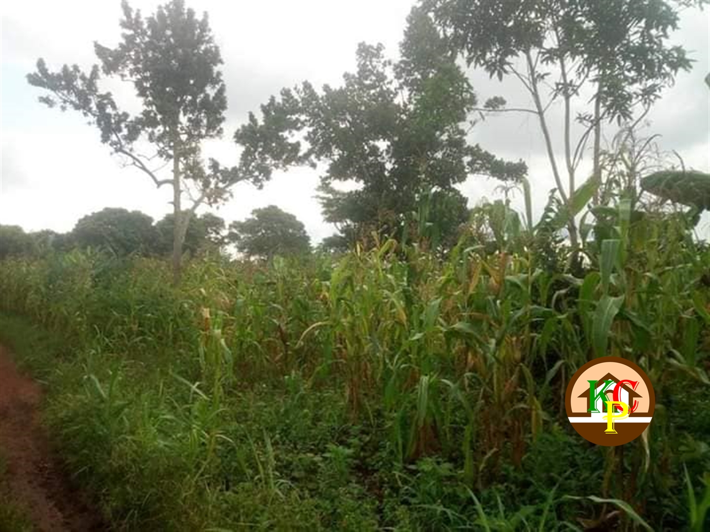 Residential Land for sale in Kikyuusa Luweero