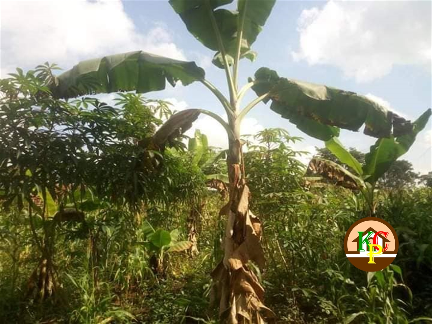 Residential Land for sale in Kikyuusa Luweero