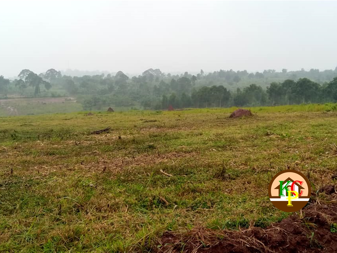 Residential Land for sale in Buddugala Mukono