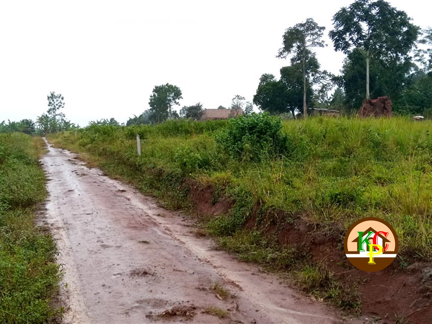 Residential Land for sale in Buddugala Mukono