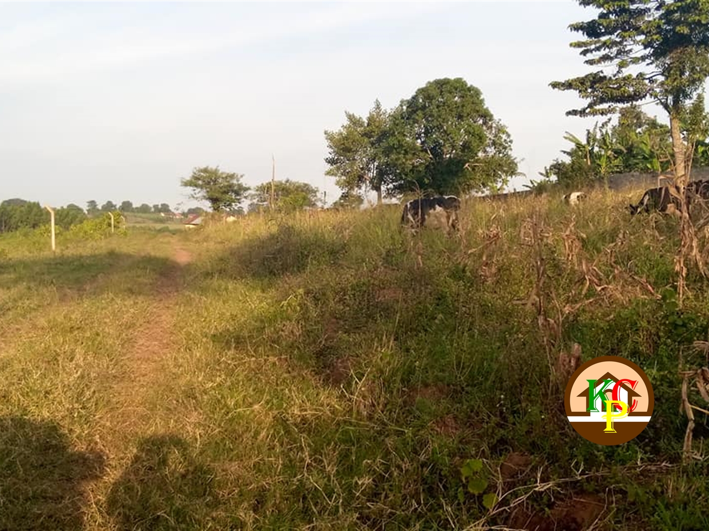 Residential Land for sale in Gayaza Wakiso