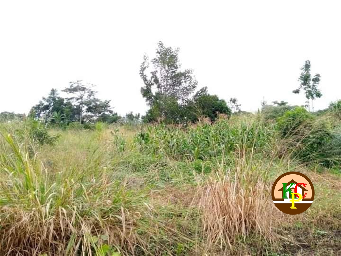 Residential Land for sale in Kasambye Nakaseke
