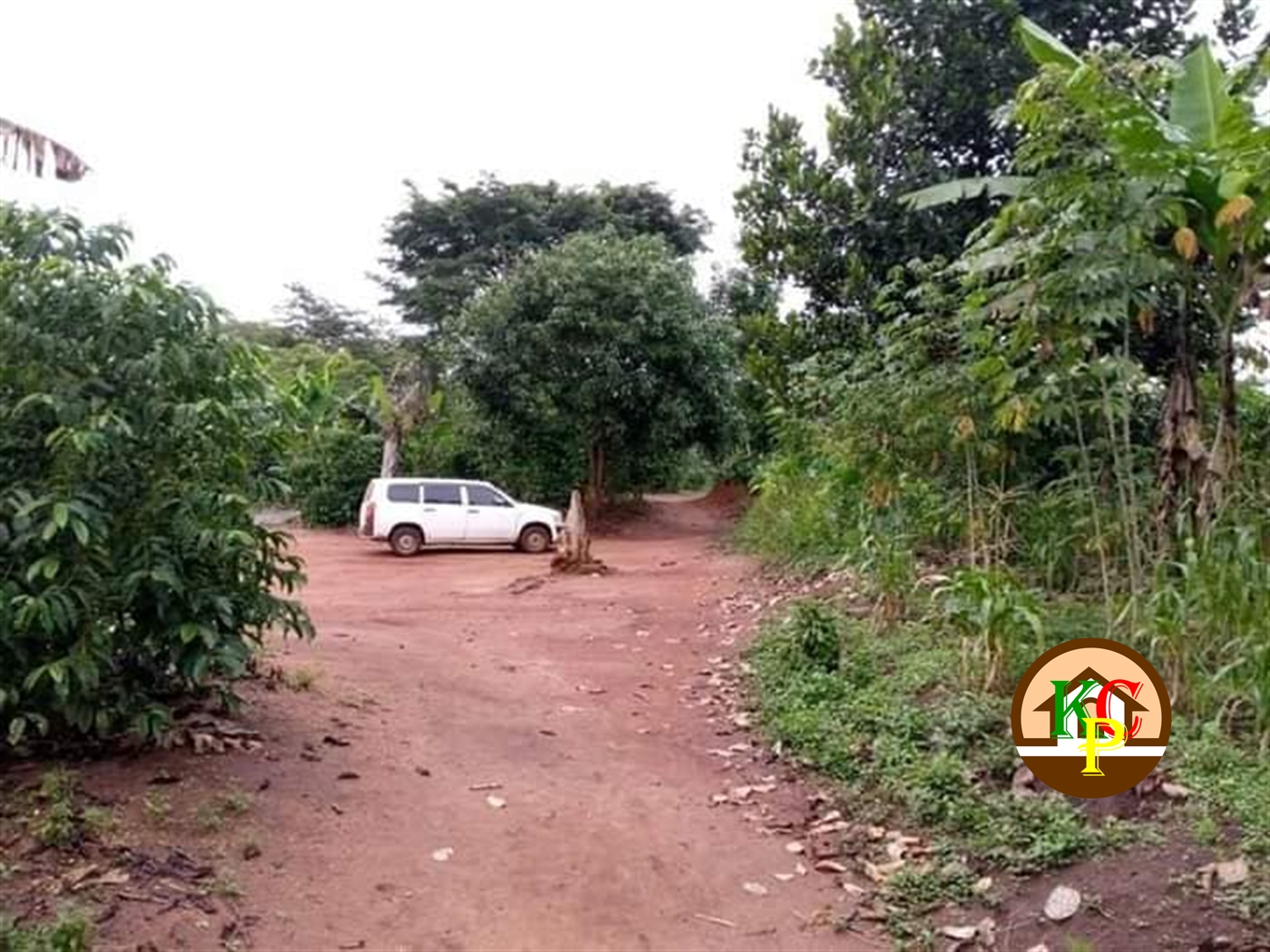 Residential Land for sale in Kasambye Nakaseke