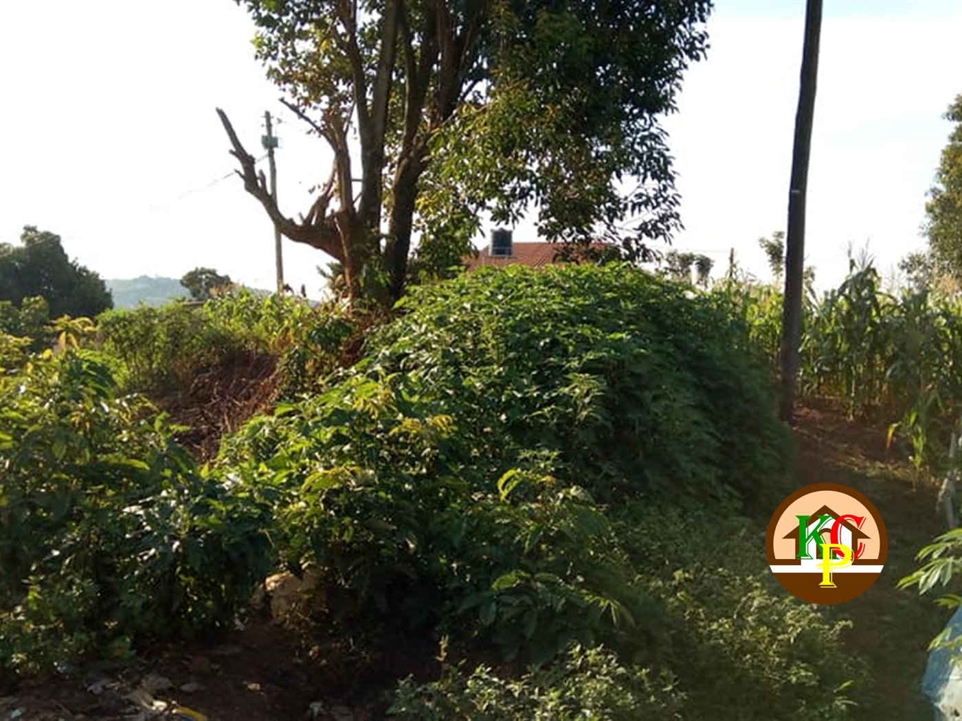 Residential Land for sale in Kisaasi Wakiso