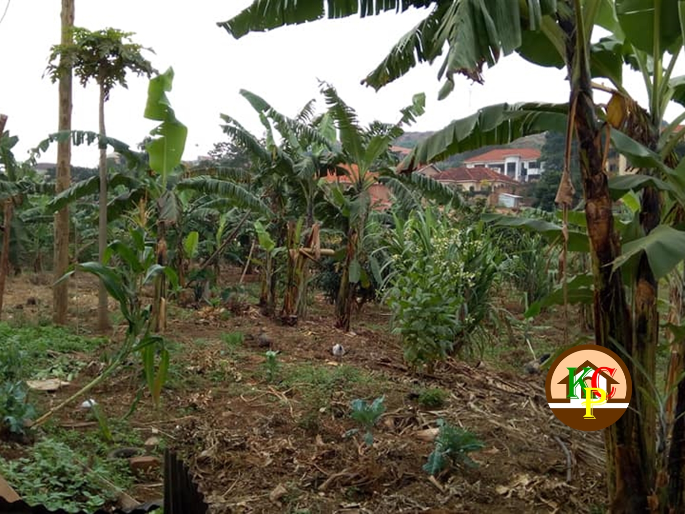 Residential Land for sale in Kisaasi Kampala