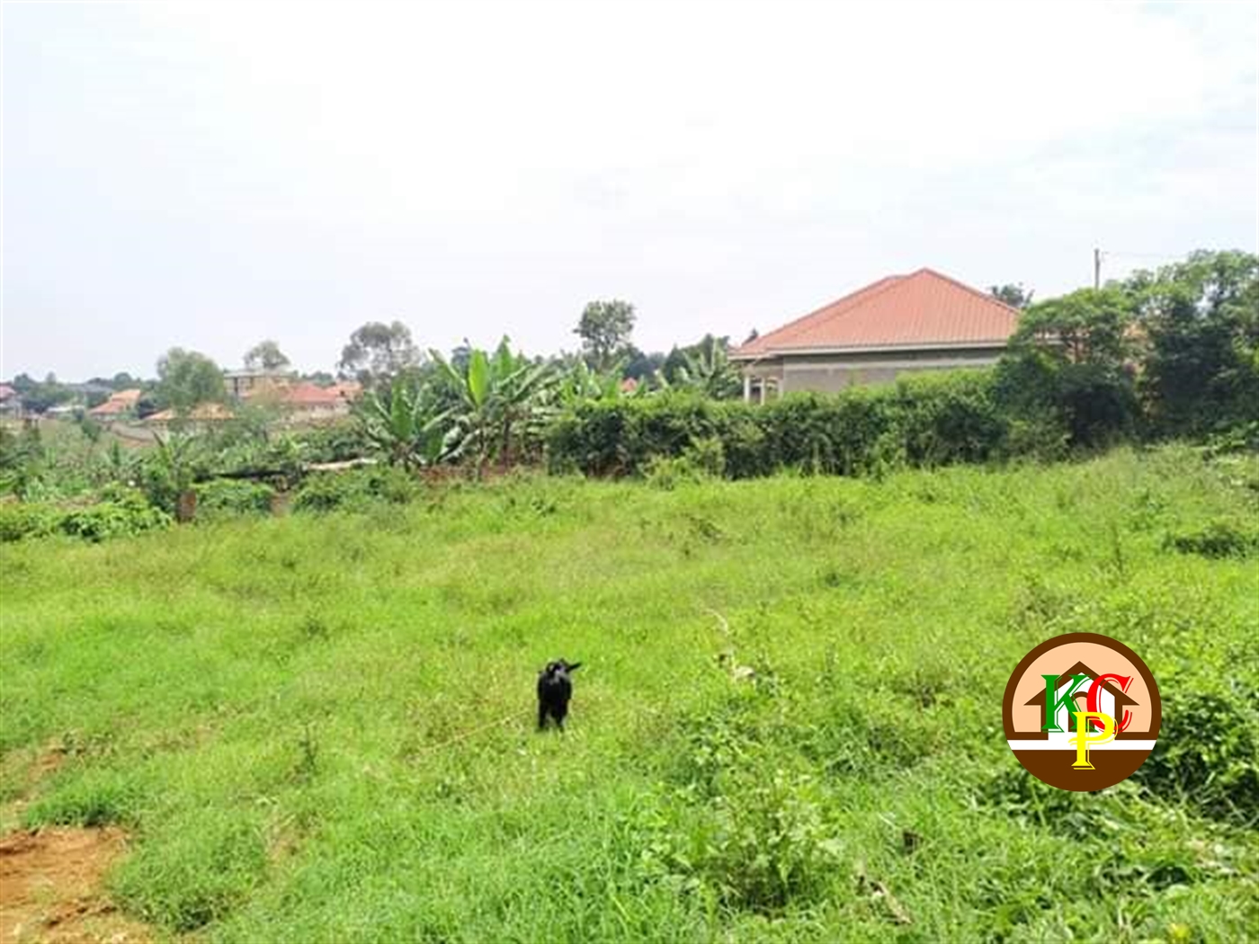 Residential Land for sale in Namugongo Wakiso