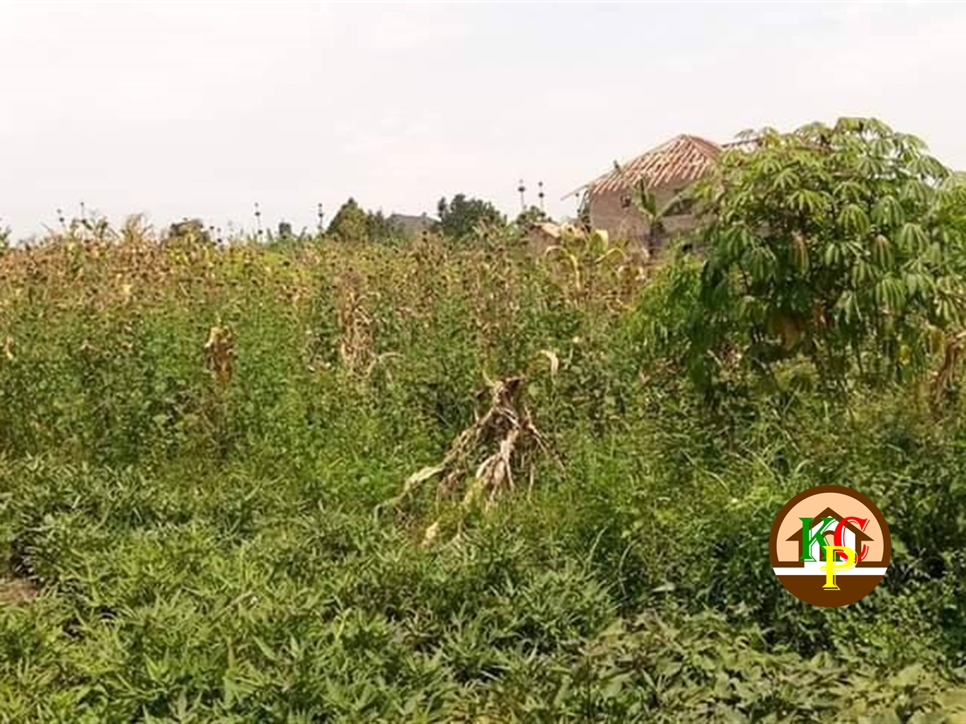 Residential Land for sale in Namugongo Wakiso