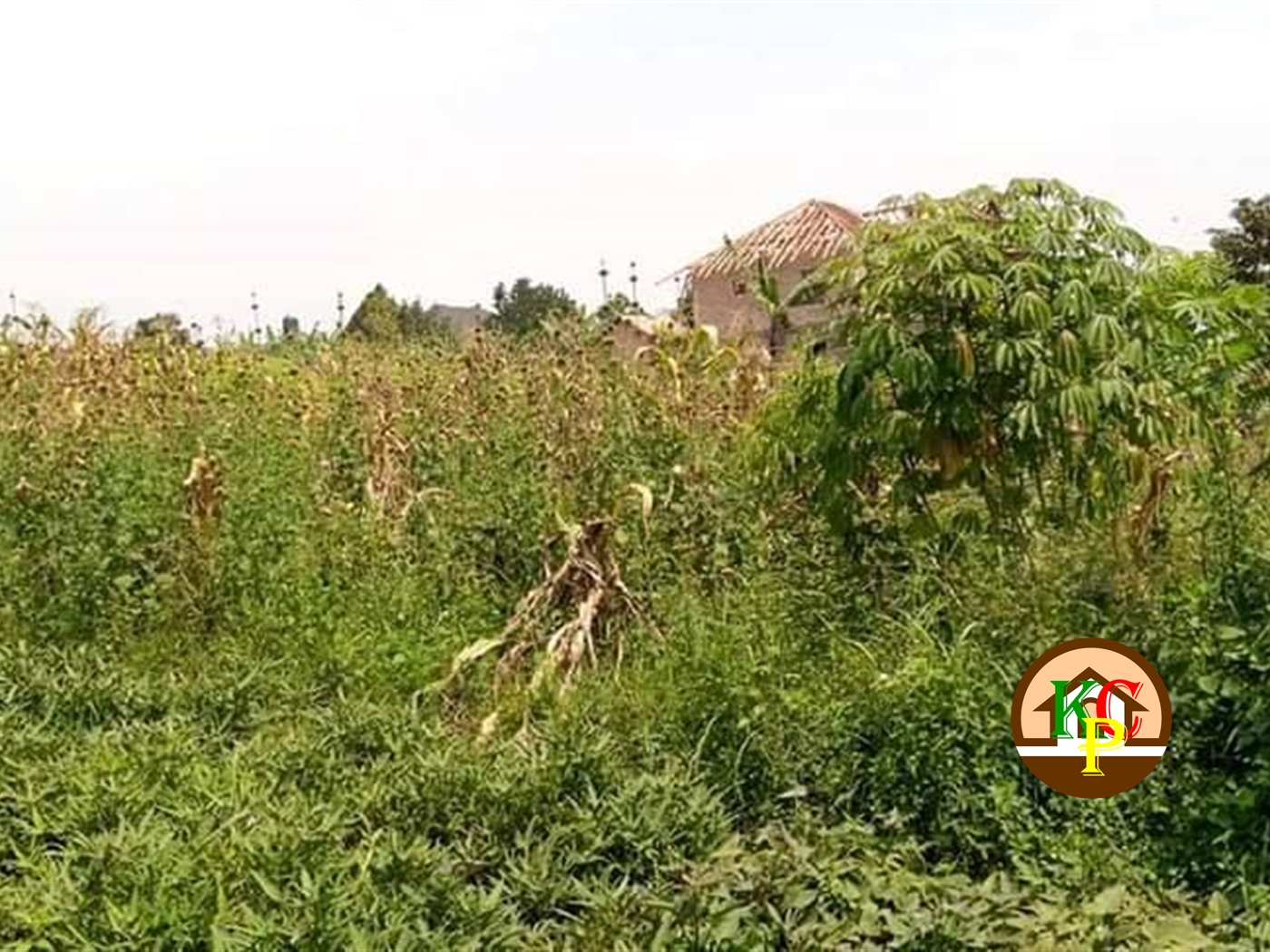 Residential Land for sale in Namugongo Wakiso