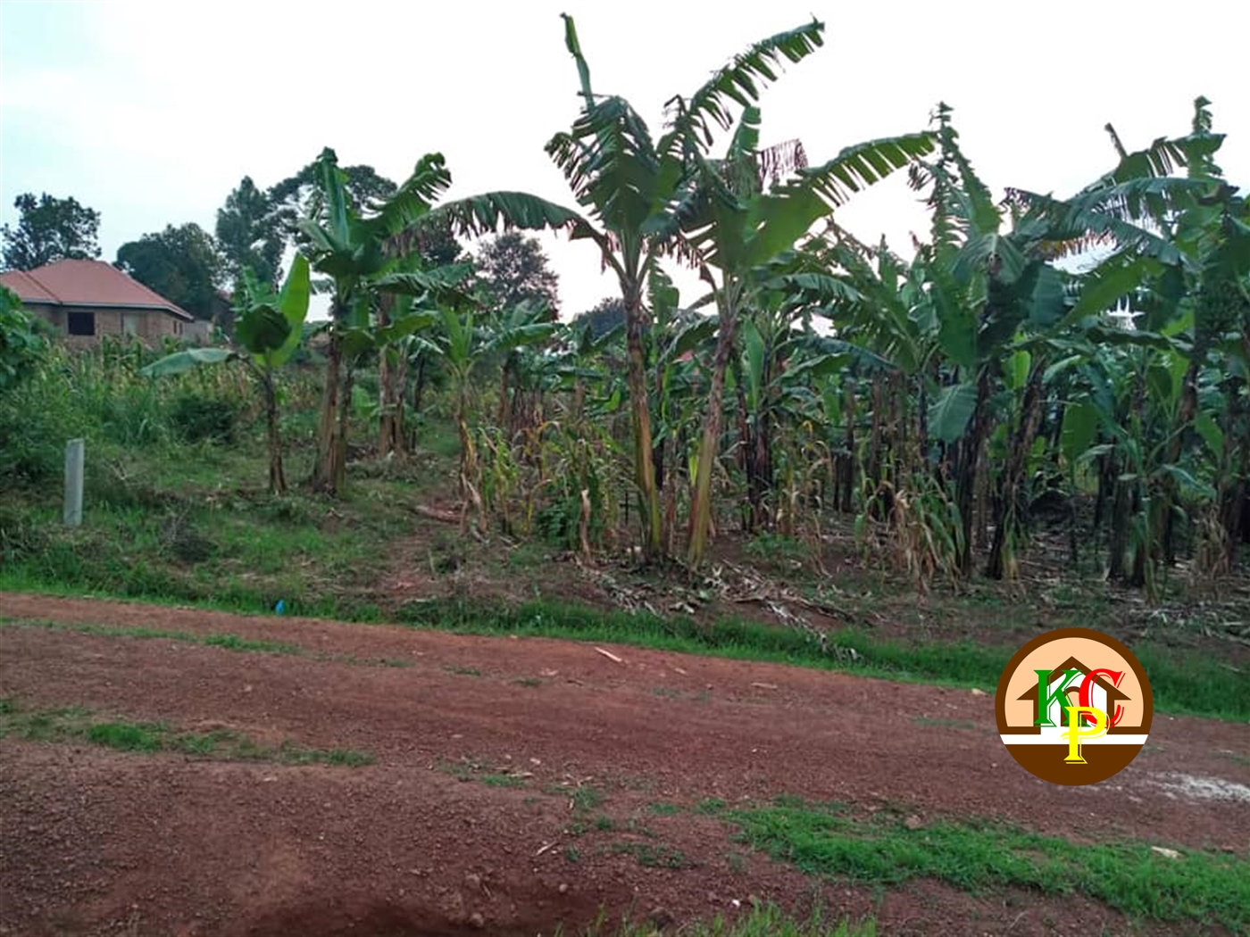 Residential Land for sale in Kiwango Mukono