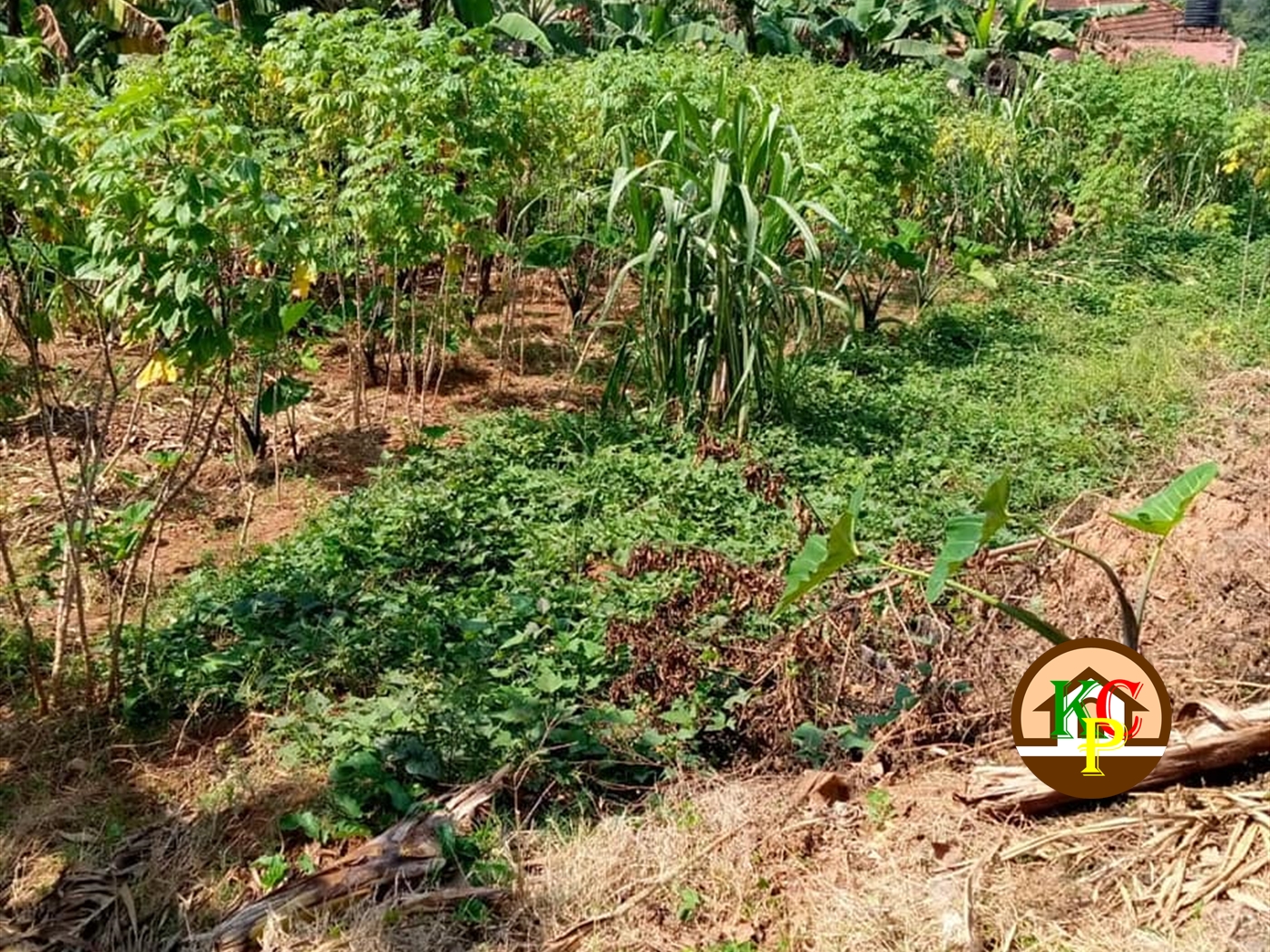 Residential Land for sale in Seguku Wakiso