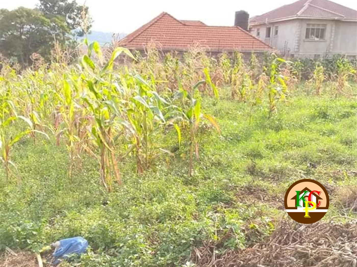 Residential Land for sale in Seguku Wakiso