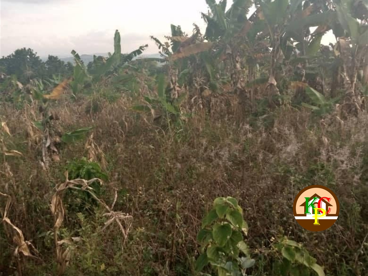 Residential Land for sale in Busunjju Wakiso