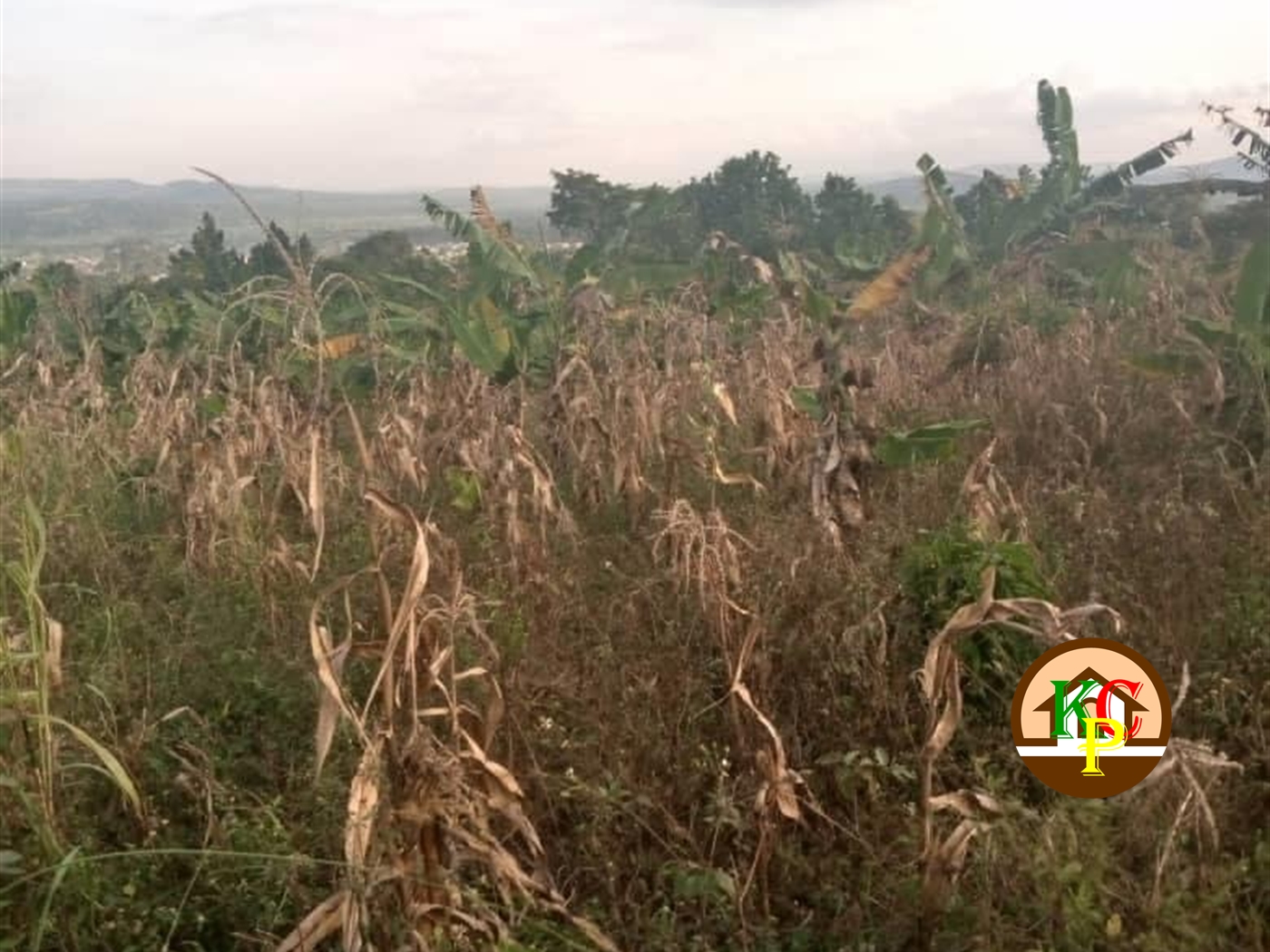 Residential Land for sale in Busunjju Wakiso