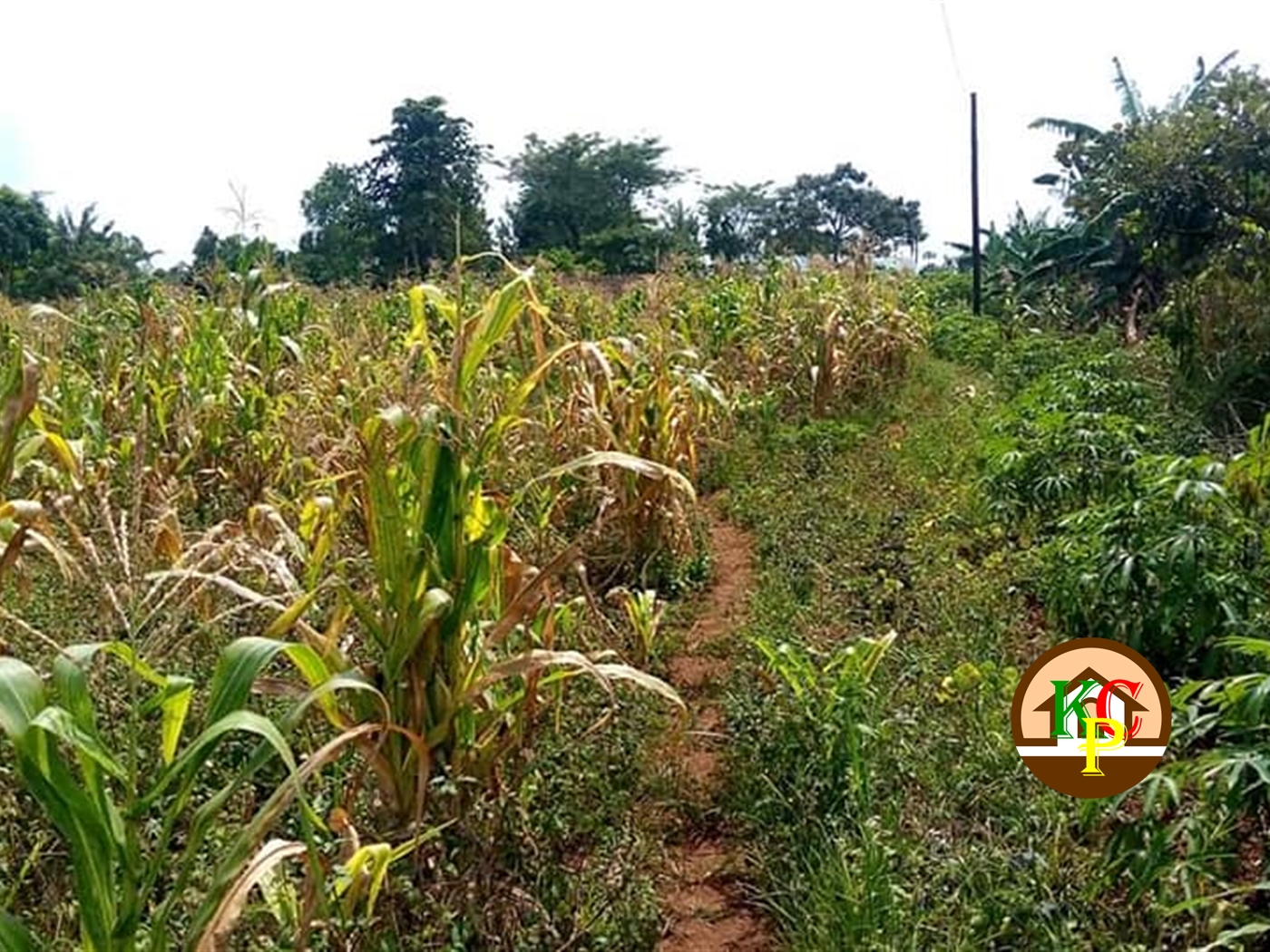 Residential Land for sale in Katente Mukono