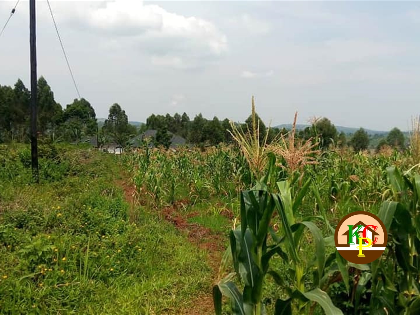 Residential Land for sale in Katente Mukono