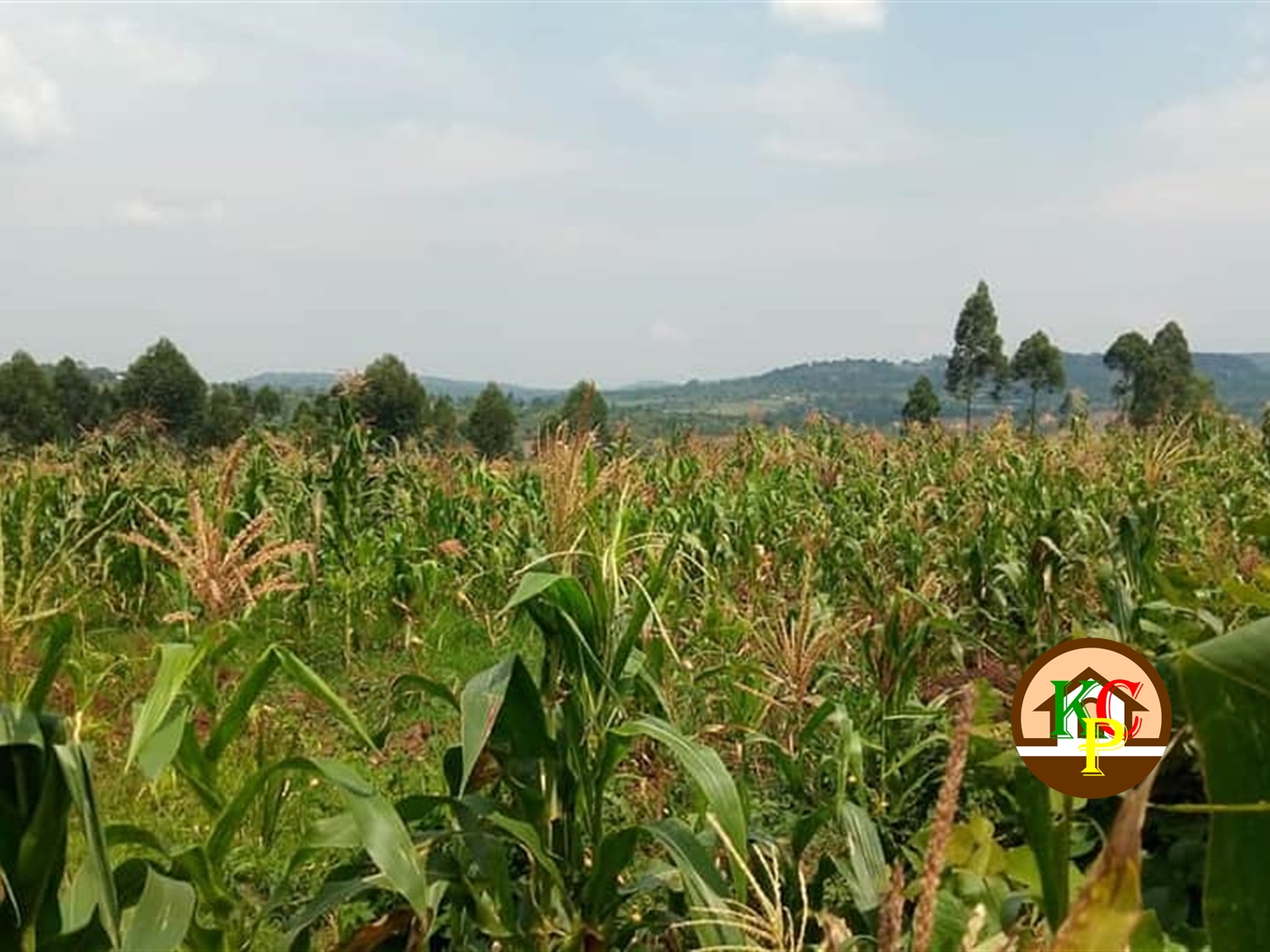 Residential Land for sale in Katente Mukono