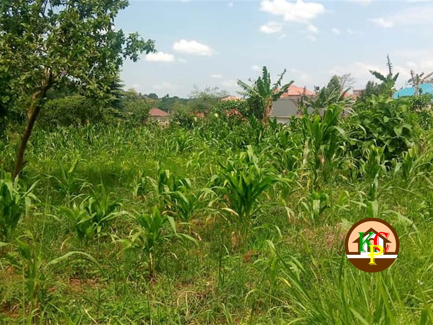 Residential Land for sale in Namilyango Mukono