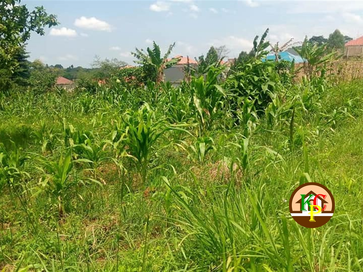 Residential Land for sale in Namilyango Mukono