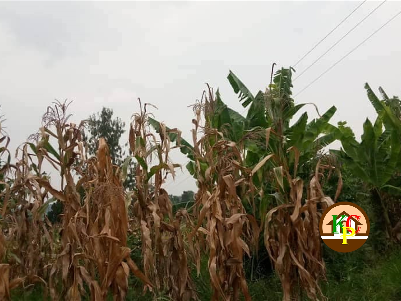 Residential Land for sale in Bombo Luweero