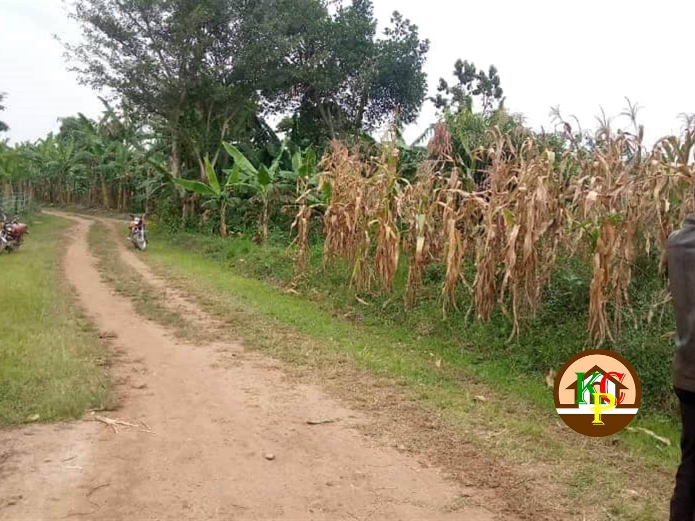 Residential Land for sale in Bombo Luweero