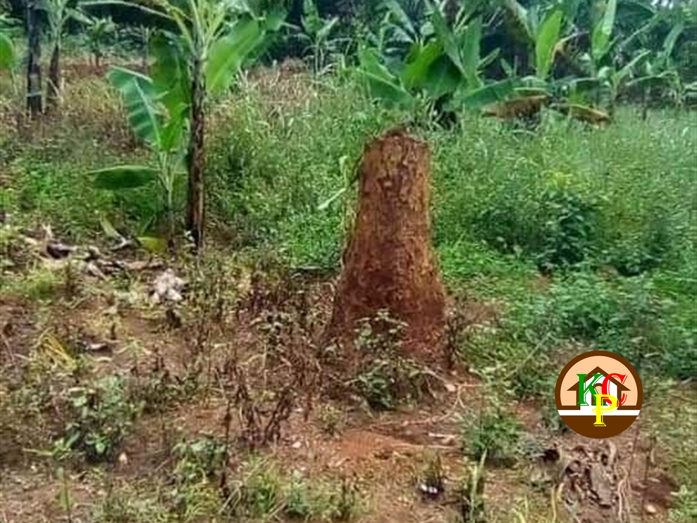 Residential Land for sale in Wobulenzi Luweero