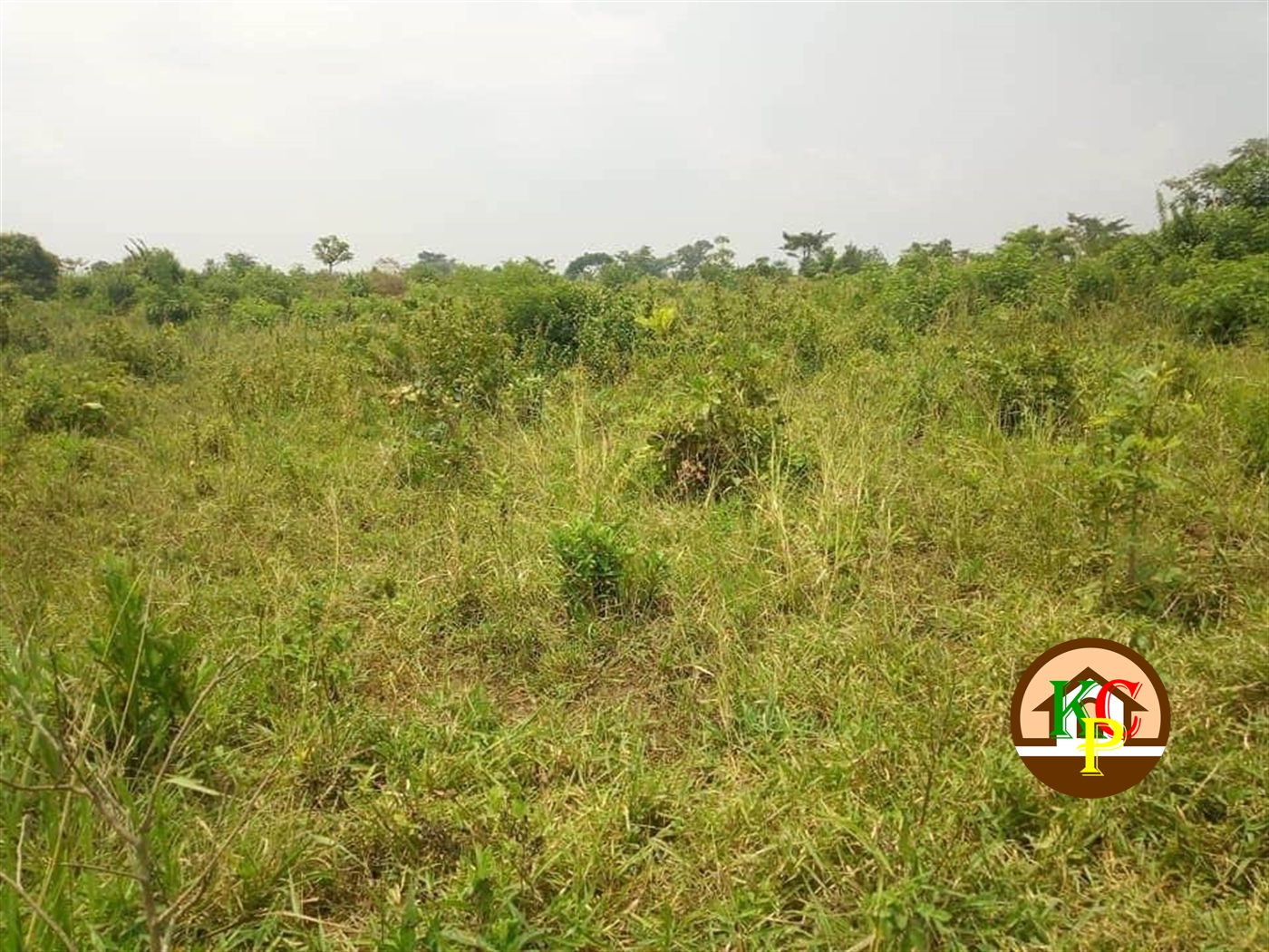 Residential Land for sale in Kikyuusa Luweero