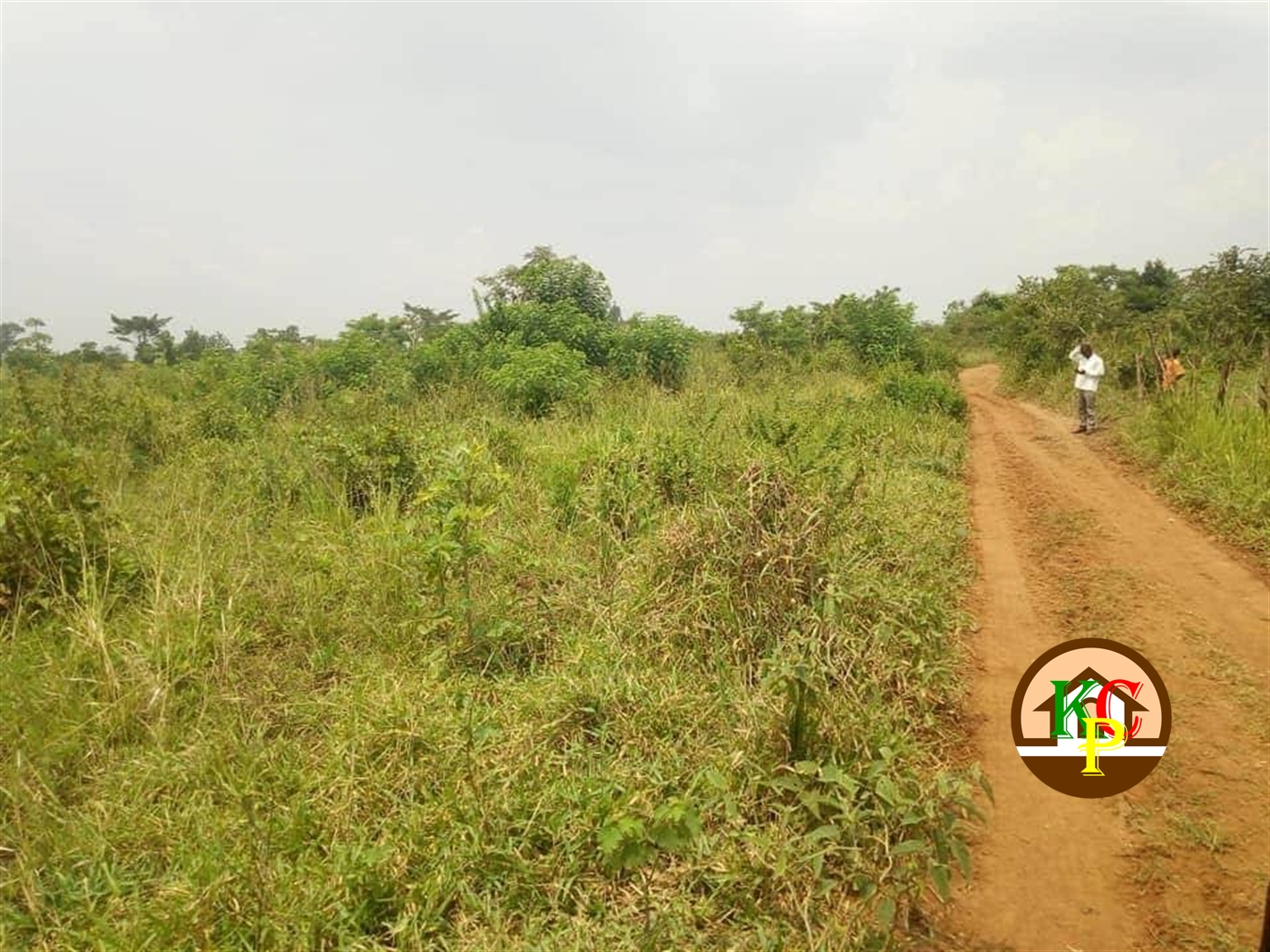 Residential Land for sale in Kikyuusa Luweero