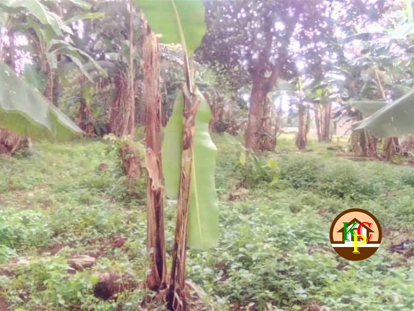 Residential Land for sale in Namugongo Wakiso