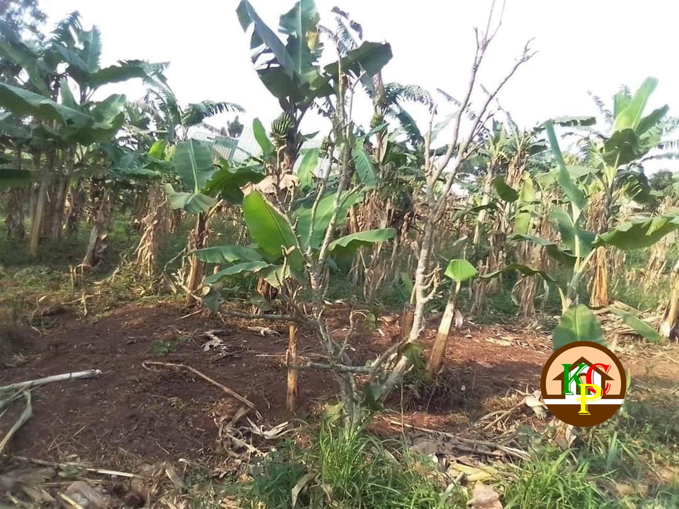 Residential Land for sale in Namugongo Wakiso