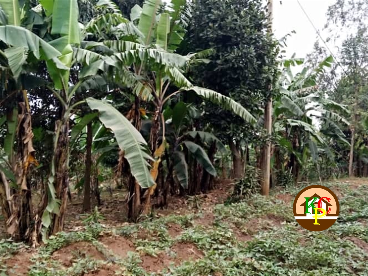 Residential Land for sale in Kyanja Kampala