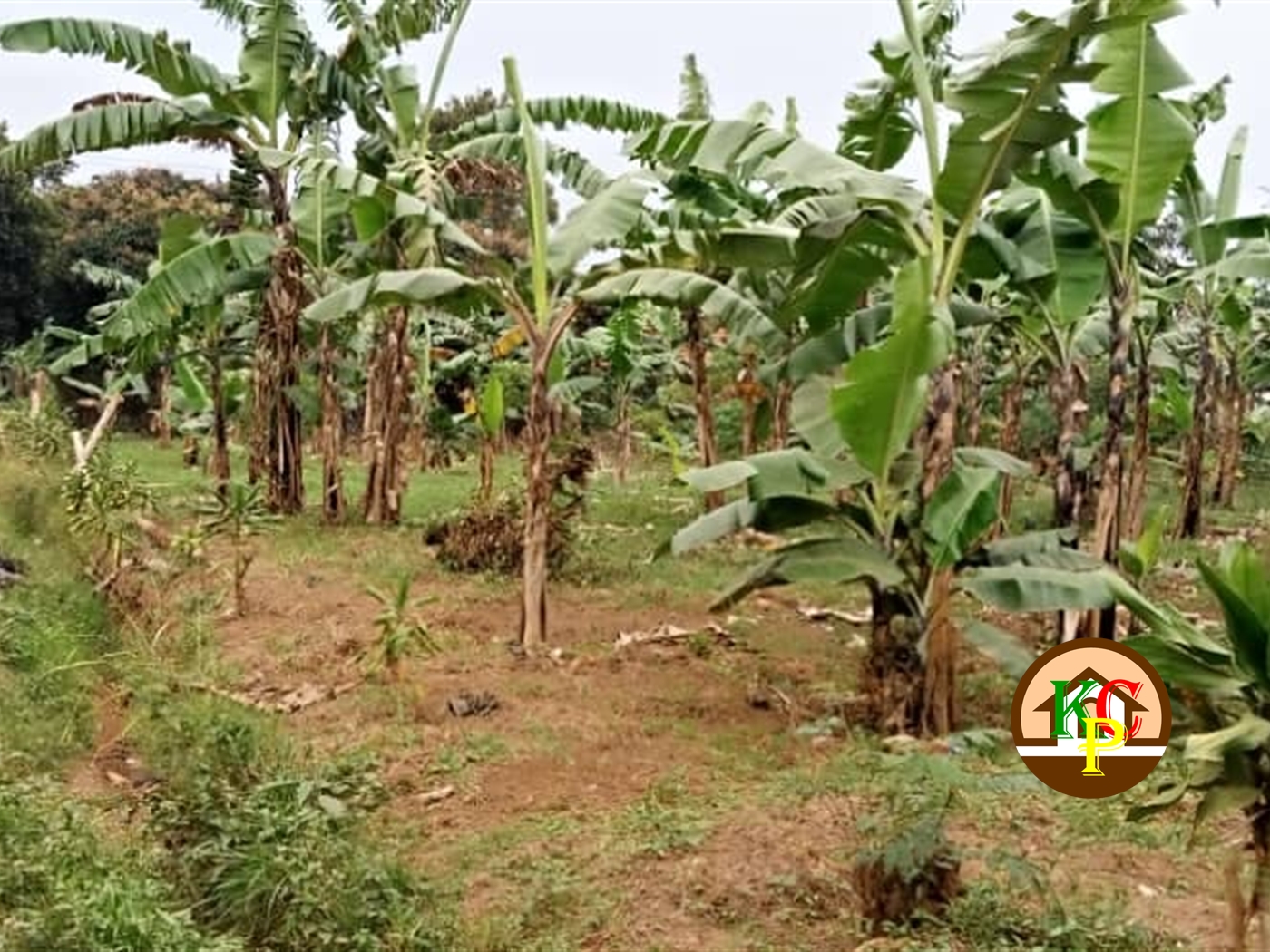 Residential Land for sale in Kyanja Kampala