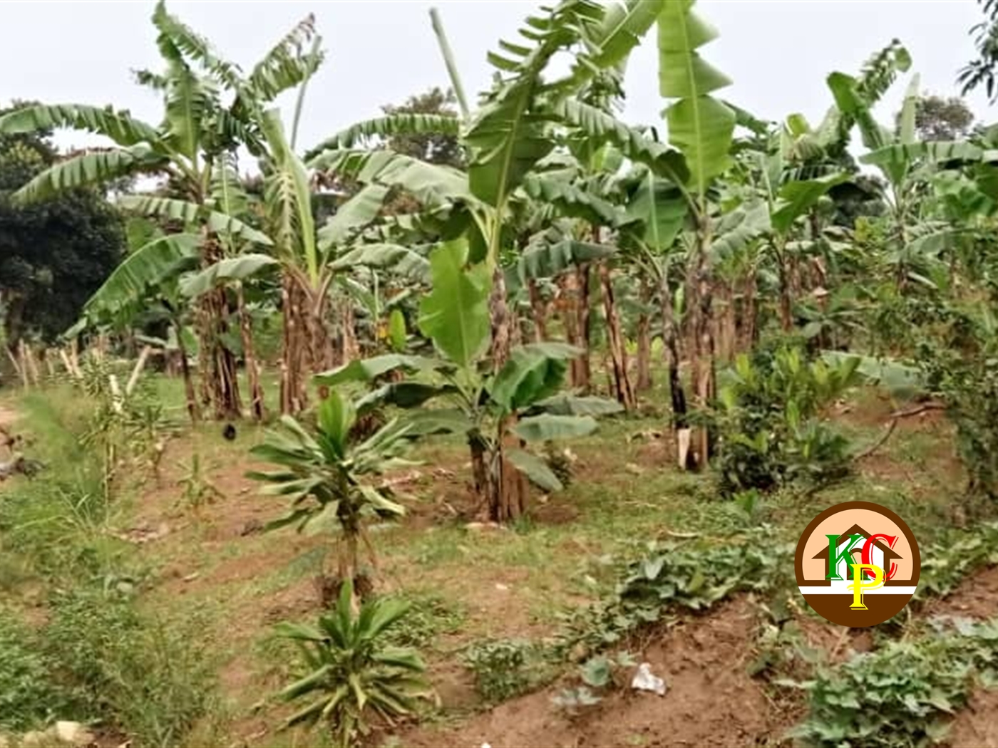 Residential Land for sale in Kyanja Kampala