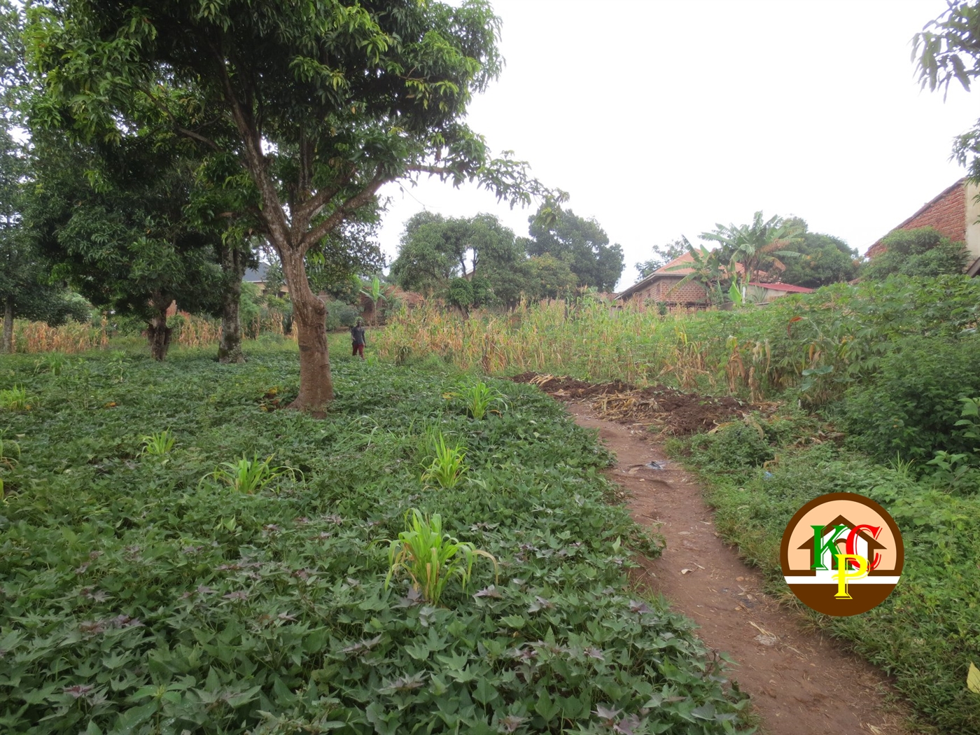 Residential Land for sale in Kitende Wakiso